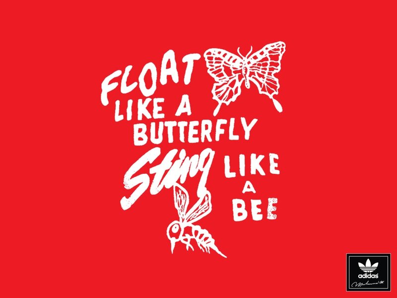 Butterfly and Bee Illustration