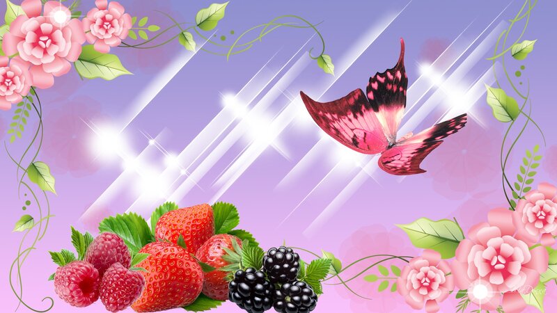 Butterfly and Berries