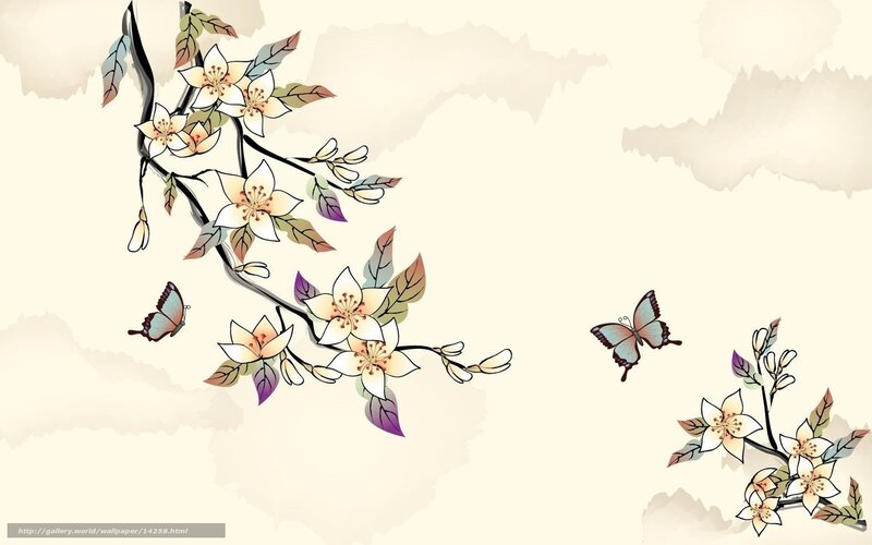 butterfly and blossoming branch