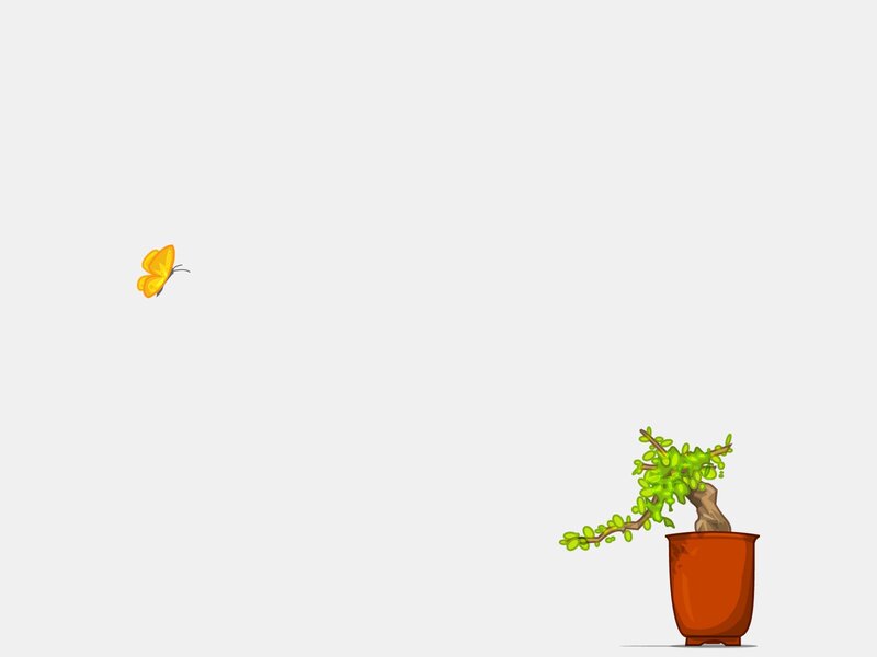 butterfly and bonsai plant