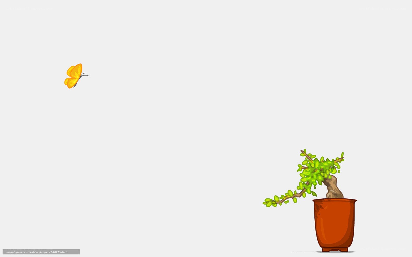 butterfly and bonsai plant