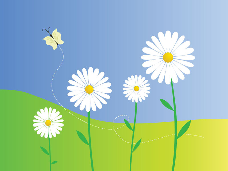 Butterfly and Daisies