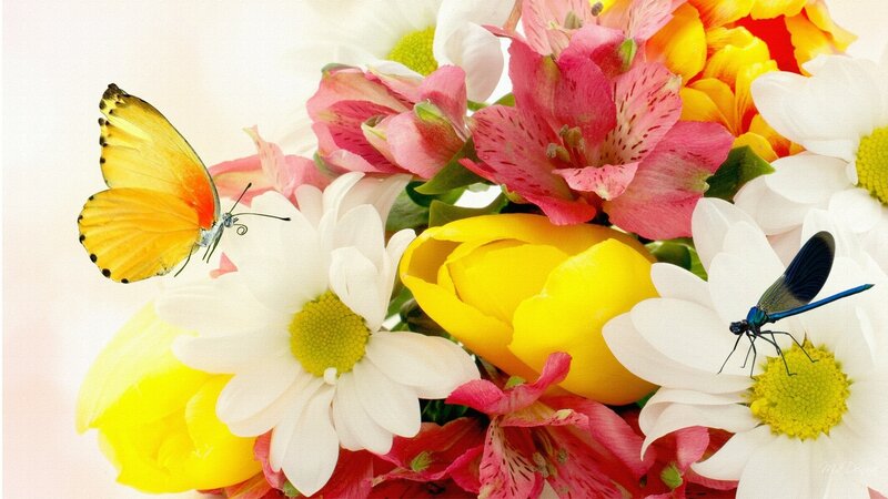 Butterfly and Dragonfly on Flowers — Yellow