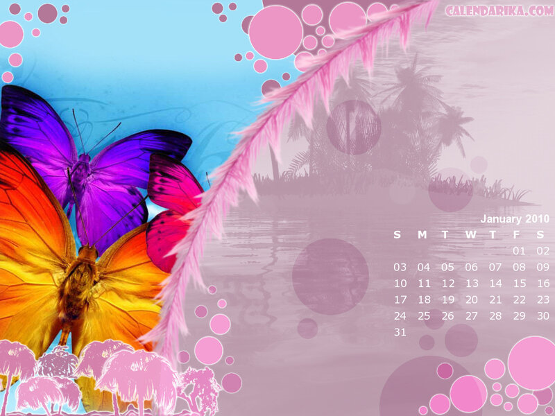butterfly and feather wallpaper