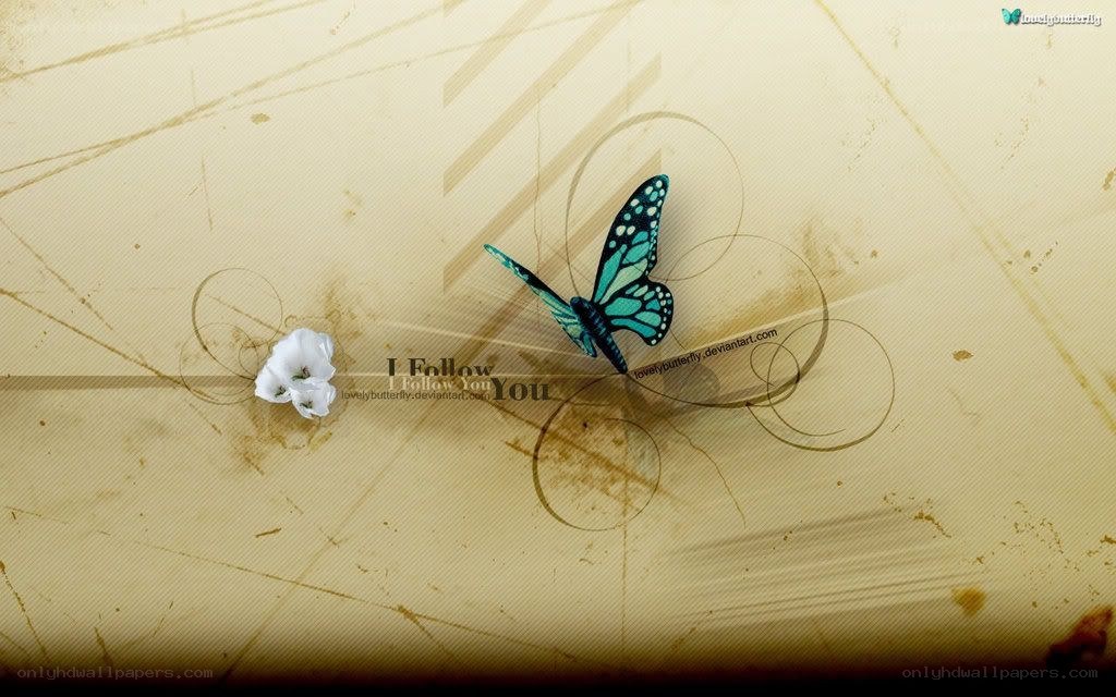 butterfly and flower art