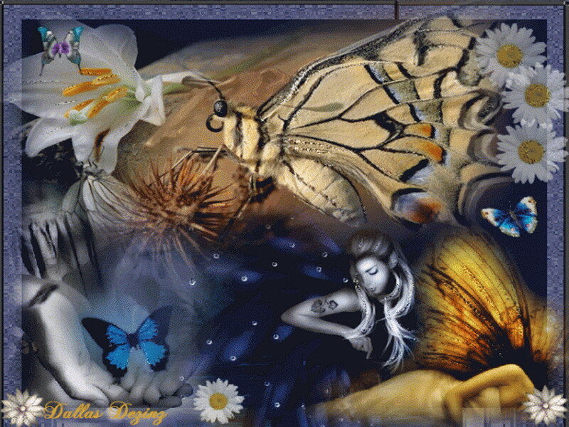 butterfly and flower collage