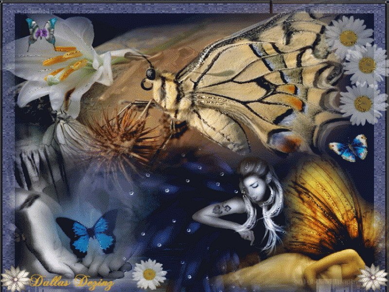 butterfly and flower collage