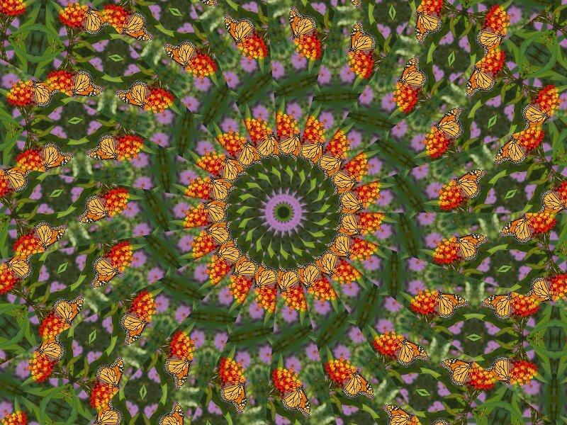 Butterfly and flower mandala