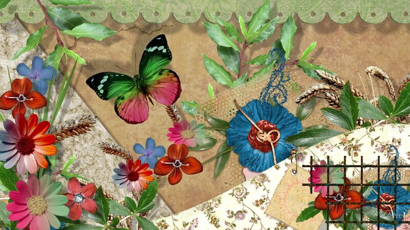Butterfly and Flowers Collage