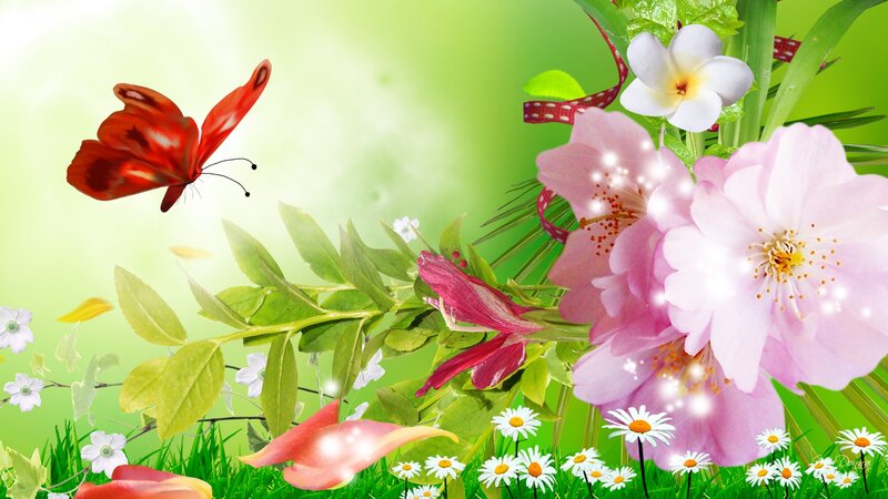 Butterfly and Flowers — Green, Serene