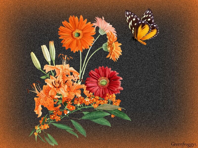Butterfly and Flowers — Orange, Calm