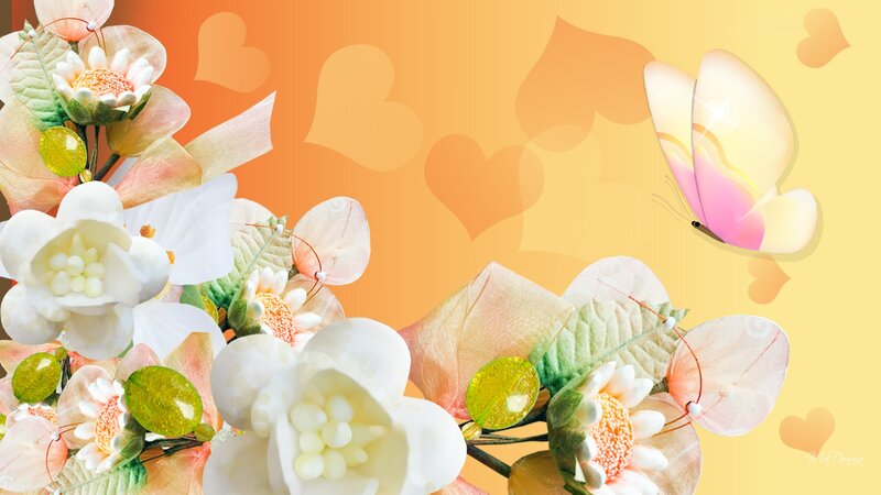 Butterfly and Flowers — Orange, Cheerful