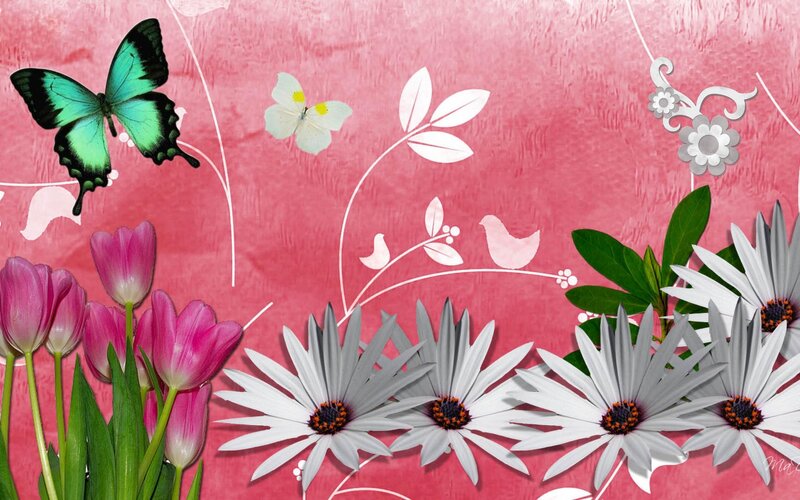 Butterfly and Flowers — Pink, Cheerful