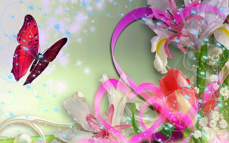Butterfly and Flowers — Pink, Dreamy