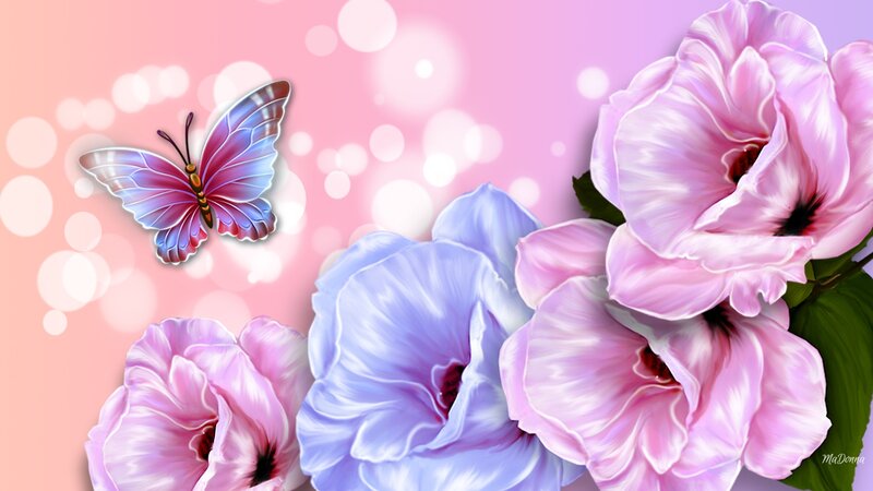 Butterfly and Flowers — Pink, Serene, Digital Art