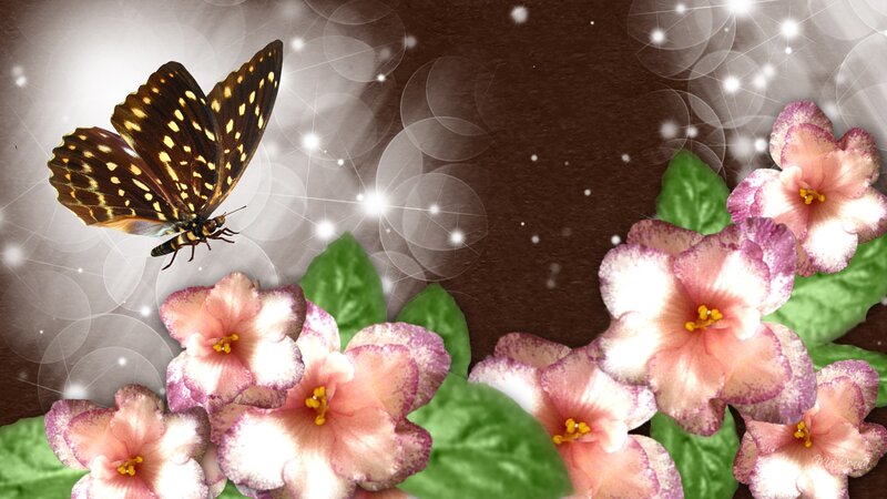 Butterfly and Flowers — Pink, Serene