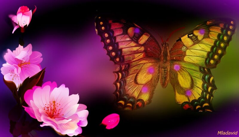 Butterfly and Flowers — Purple, Dreamy
