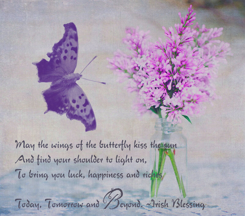 Butterfly and Flowers — Purple, Serene, Illustration