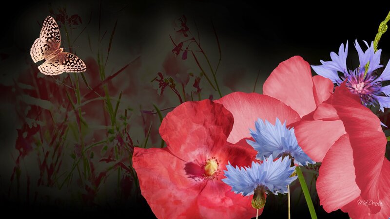 Butterfly and Flowers — Red