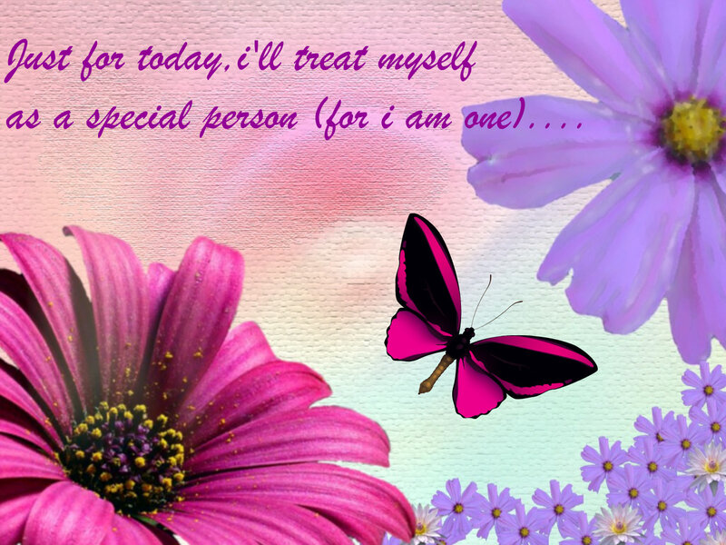 butterfly and flowers