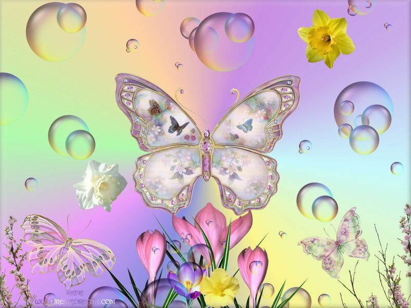 butterfly and flowers wallpaper