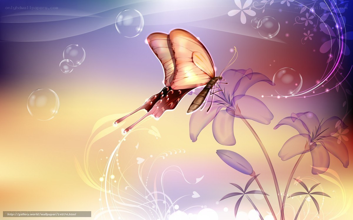butterfly and flowers wallpaper