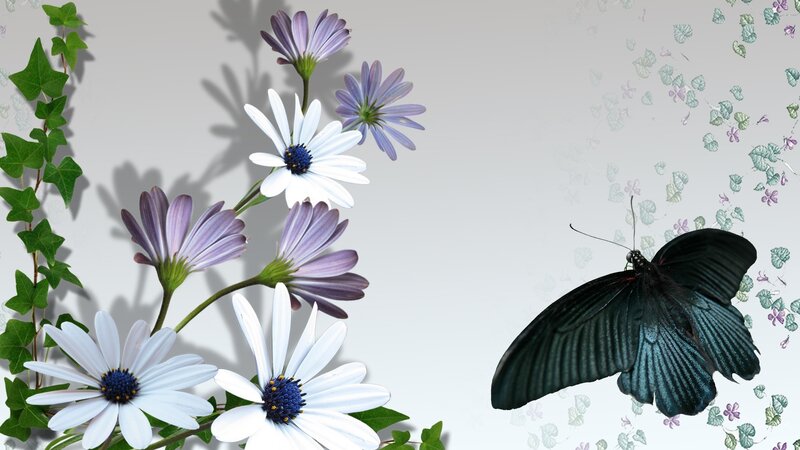 Butterfly and Flowers — White