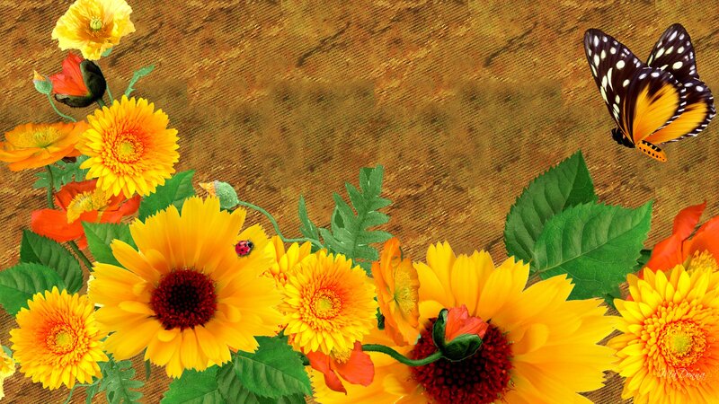 Butterfly and Flowers — Yellow, Calm