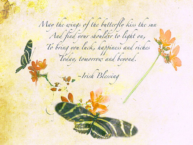 Butterfly and Flowers — Yellow, Serene, Illustration