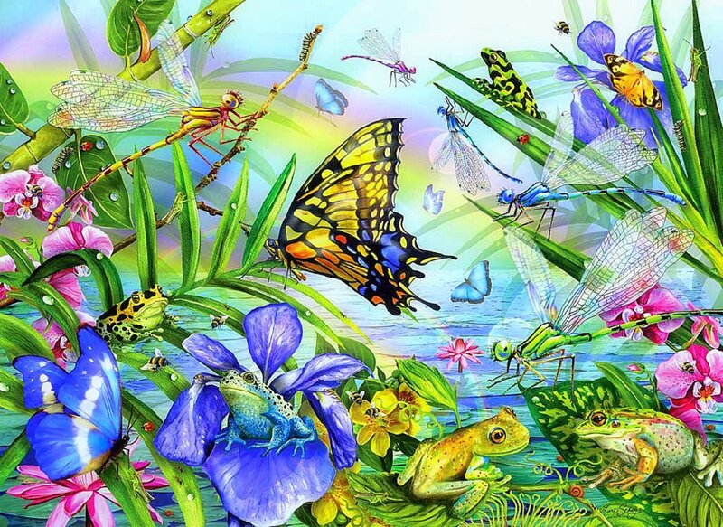 Butterfly and Frogs in Garden — Blue
