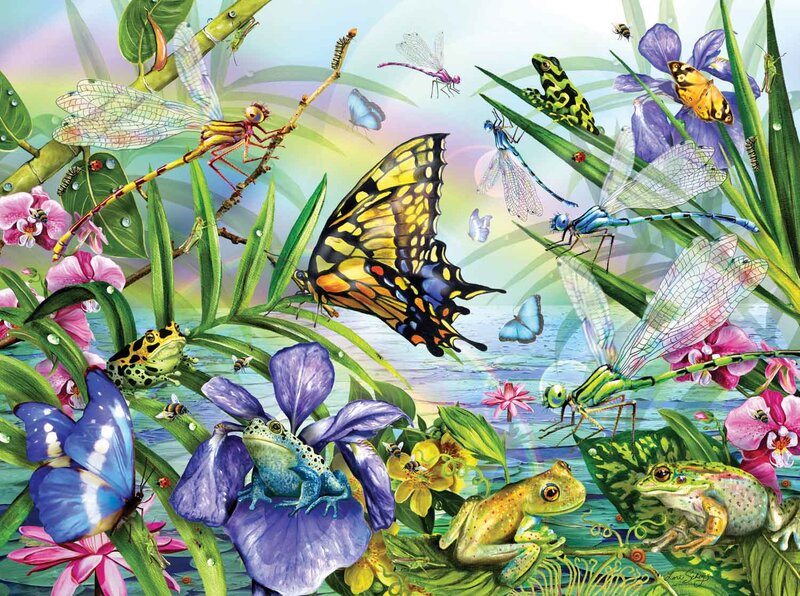 Butterfly and Frogs in Garden