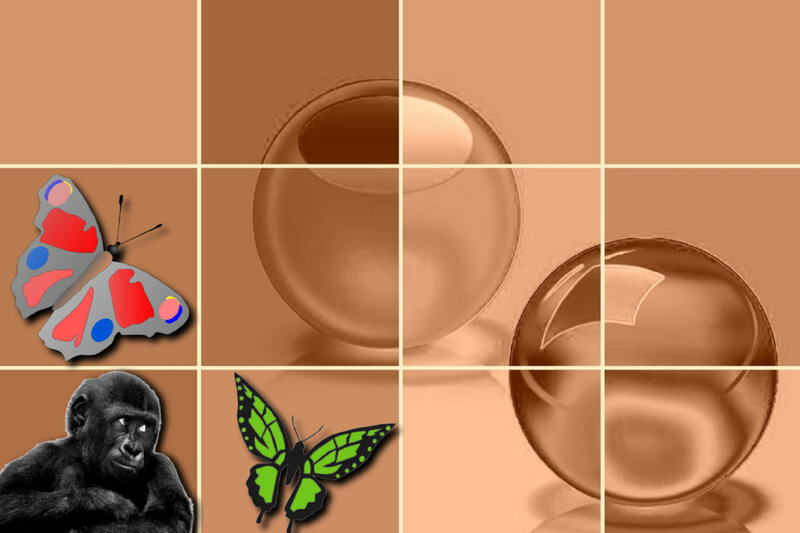 Butterfly and Gorilla