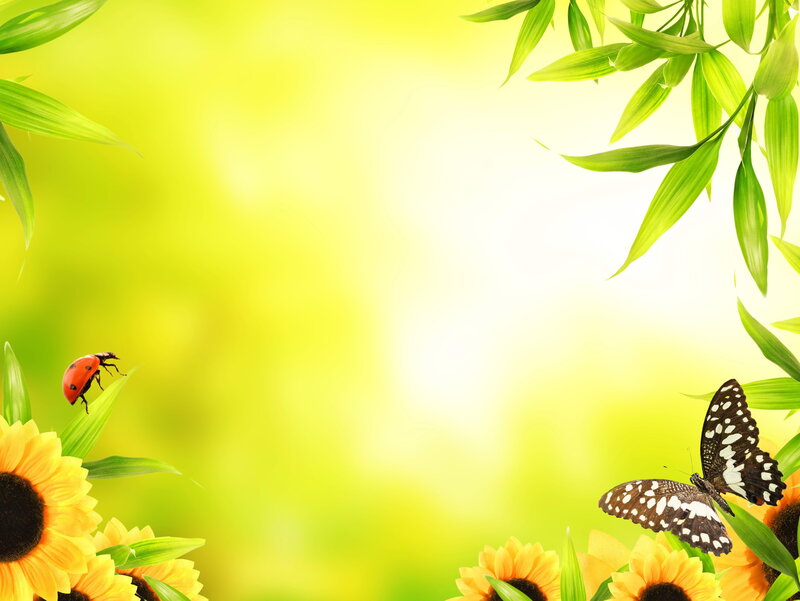 Butterfly and Ladybug on Flowers