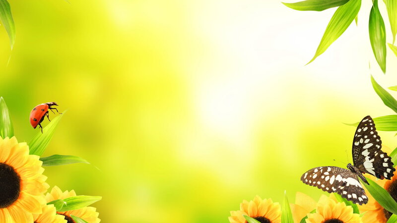 Butterfly and Ladybug on Flowers — Yellow