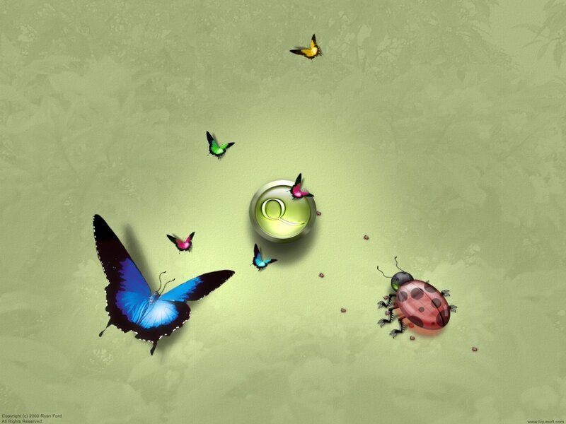 Butterfly and Ladybug