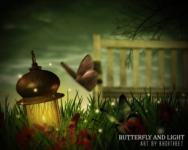 Butterfly and Lantern