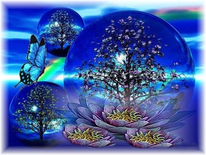 Butterfly and Lotus Flowers