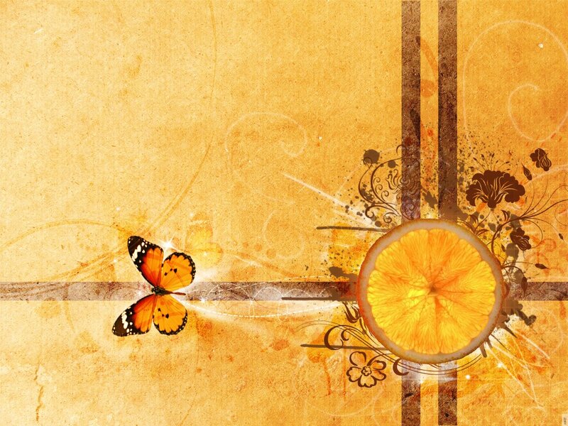 Butterfly and Orange Slice