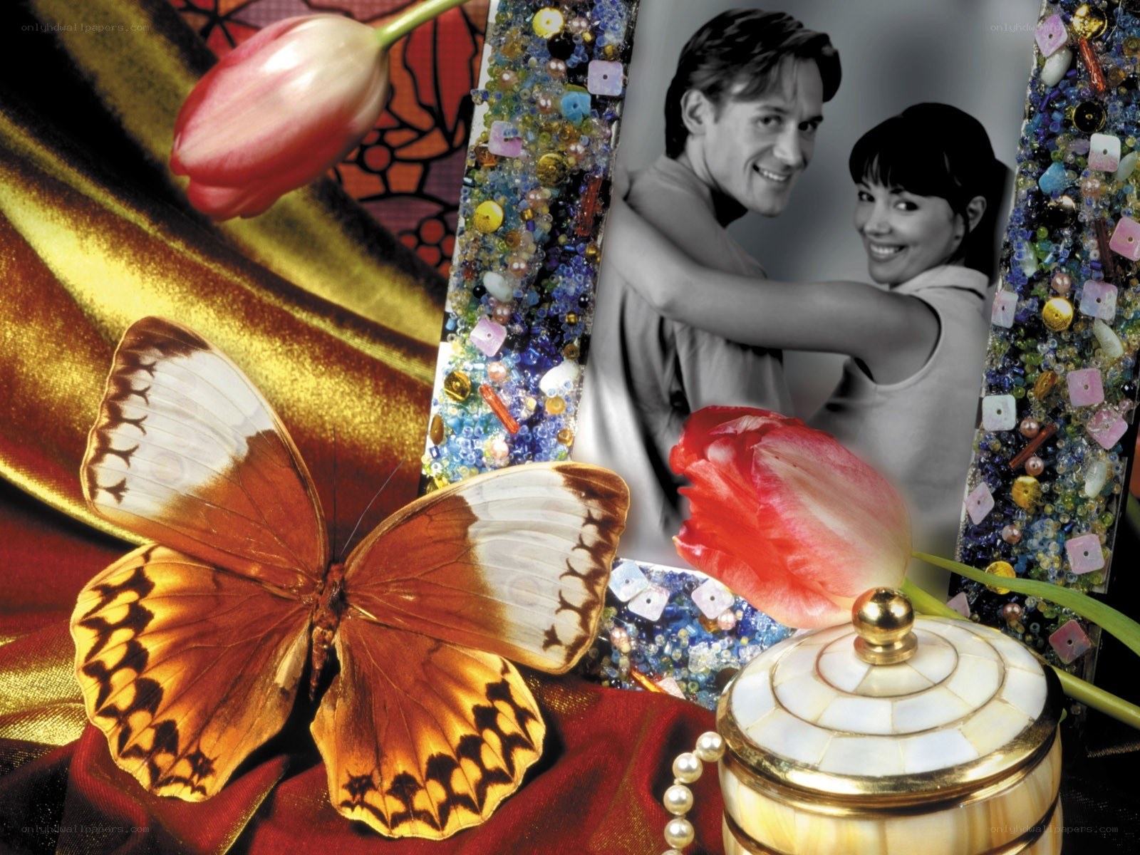 butterfly and photo collage