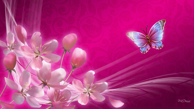 Butterfly and Pink Flowers