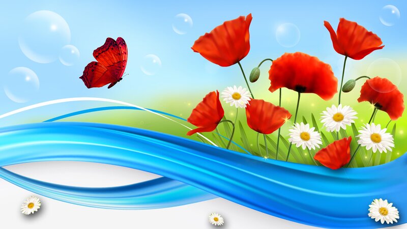 Butterfly and Poppies