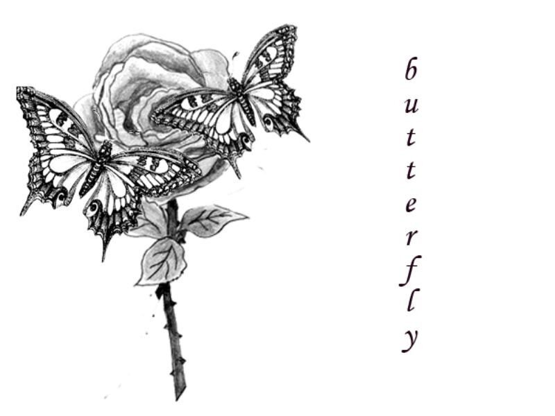 butterfly and rose drawing