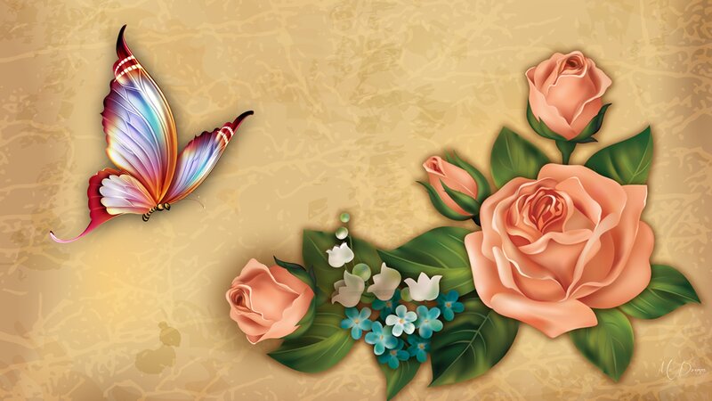 Butterfly and Roses