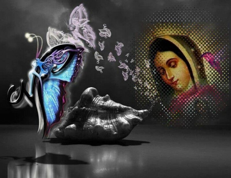 Butterfly and Seashell