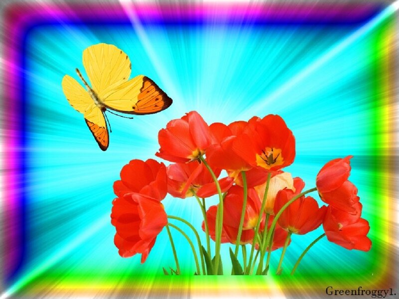 Butterfly and Tulips — Red