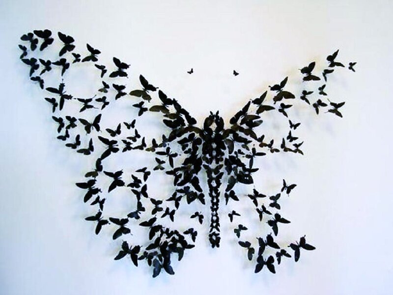 butterfly art installation