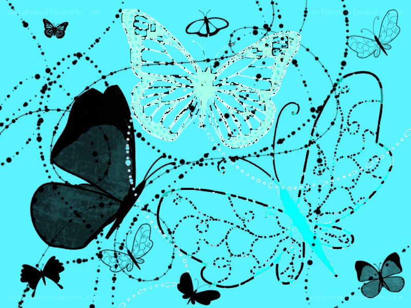 butterfly art on blue