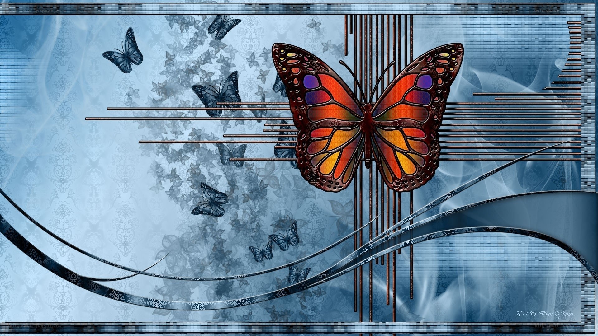Butterfly art with blue background