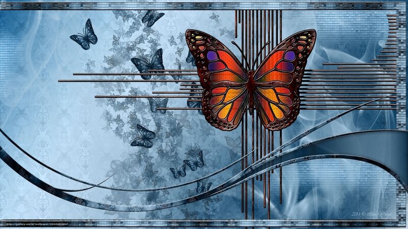 Butterfly art with blue background