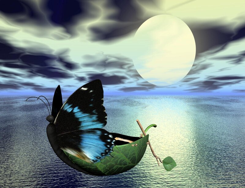Butterfly Boat on Water